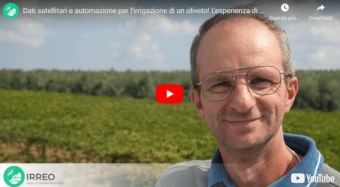 Nicola, imprenditore agricolo pugliese, irriga il suo oliveto con Irreo: utilizza i dati satellitari per campire qual è il fabbisogno idrico delle sue colture e il loro stato fenologico, riceve ogni giorno un piano di irrigazione dal sistema e poi lo avvia automaticamente attraverso i programmatori per l'irrigazione che ha collegato al suo impianto di subirrigazione.